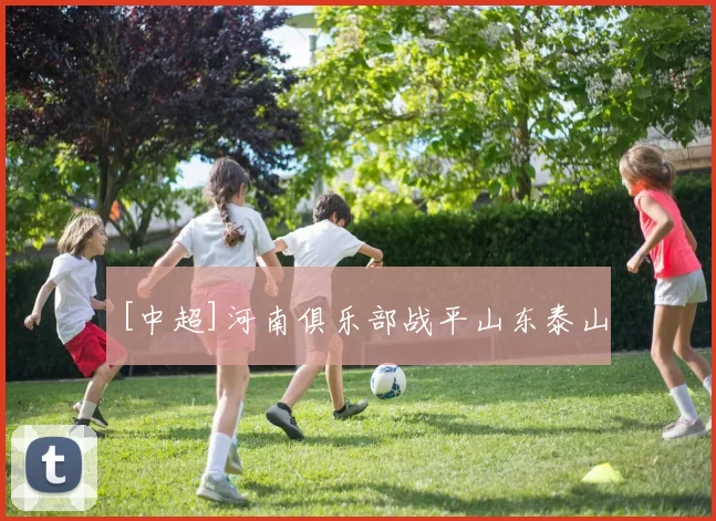 [中超]河南俱乐部战平山东泰山