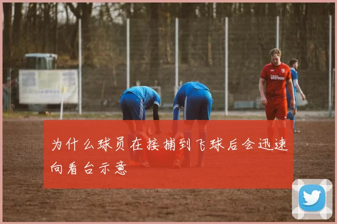 为什么球员在接捕到飞球后会迅速向看台示意