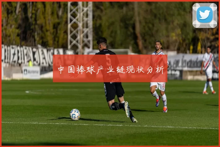 中国棒球产业链现状分析