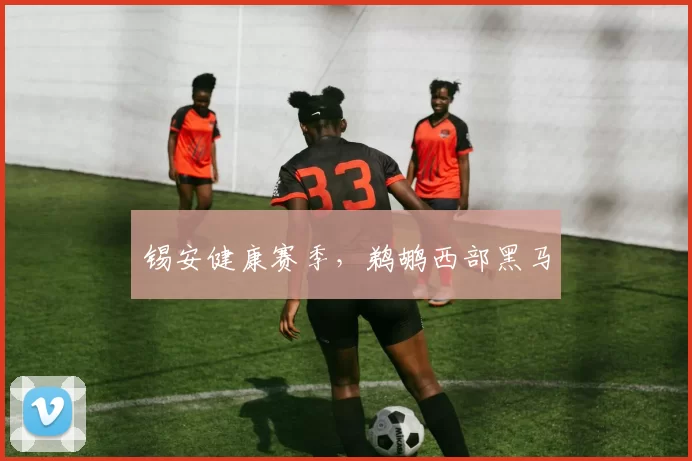 锡安健康赛季，鹈鹕西部黑马
